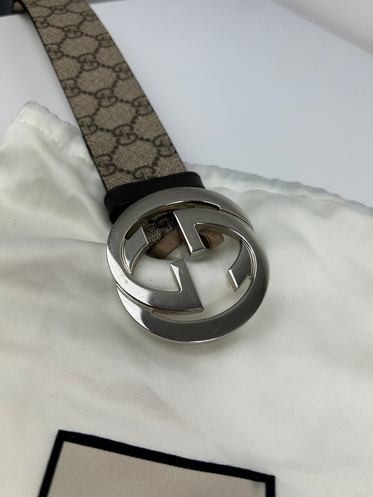 Gucci Supreme Belt